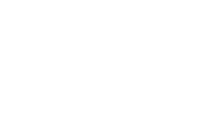 logo footer